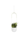 vaso pendente