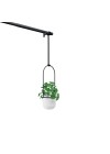 hanger para plantas
