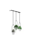 hanger para plantas