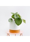 apoio-de-vaso-cortica-15cm-ambientado-vista