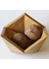 bowl-icosa-ambientado-inclinado 