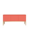 buffet-noruega-coral