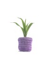 Cachepot Zoe - Roxo