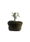 Cachepot Zoe - Verde