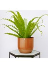 cachepot-aluminio-arredondado-cobre-ambientado