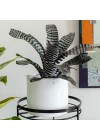 cachepot-aluminio-com-aba-branco-ambientado 