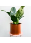 cachepot-aluminio-com-aba-cobre-ambientado-de-frente 