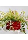 cachepot-aluminio-cuia-friso-cereja-ambientado