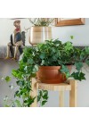 cachepot-aluminio-cuia-liso-cobre-ambientado