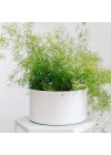 cachepot-aluminio-cuia-reto-branco-ambientado