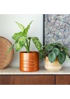 cachepot-aluminio-friso-25cm-cobre-ambientado