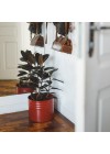 cachepot-aluminio-friso-30cm-cereja-ambientado