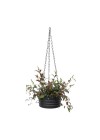 cachepot-penduravel-cuia-friso-preto-com-planta