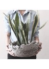 Cachepot Litos Lo - Concreto Natural