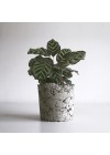 Cachepot Litos Lt - Concreto Natural