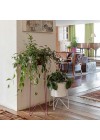 conjunto-suporte-bem-te-vi-e-cachepot-aluminio-com-aba-branco-ambientado-de-frente