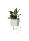 conjunto-suporte-bem-te-vi-e-cachepot-aluminio-com-aba-branco-com-planta