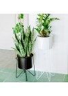 conjunto-suporte-bem-te-vi-grande-e-cachepot-aluminio-com-aba-branco-ambientado-vista-lateral