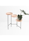 floreira-biombo-preto-com-flor