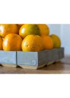 fruteira-modular-concreto-concretista-cinza-claro-2