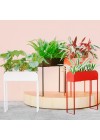 jardineira-curio-18-cores