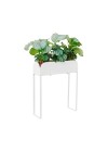jardineira-curio-18-branco
