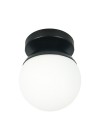 luminaria-arandela-plafon-globo-preto