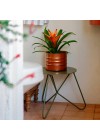 suporte-para-plantas-andorinha-verde