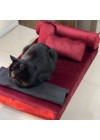 mini-sofa-cama-pet-rotulo