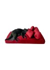 mini-sofa-cama-pet-rotulo