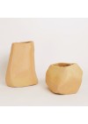 vaso organico
