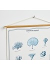 poster-corais-ambientado-zoom 