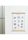 poster-corais-ambientado 