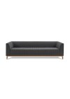 sofa-petri