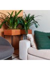 suporte-para-plantas-oasis-75cm