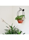 suporte-botanico-gaiola-ambientado-na-parede 