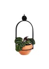 suporte-botanico-gaiola-frente 