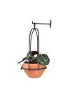 suporte-botanico-gaiola-lateral 
