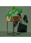 suporte-botanico-oasis-60cm