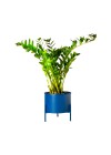 Suporte de Plantas com Vaso Slim Humaitá