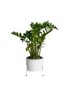 Suporte de Plantas com Vaso Slim Humaitá