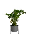 Suporte de Plantas com Vaso Slim Humaitá