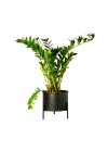 Suporte de Plantas com Vaso Slim Humaitá