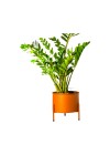 Suporte de Plantas com Vaso Slim Humaitá