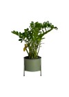 Suporte de Plantas com Vaso Slim Humaitá