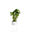 Suporte de Plantas com Vaso Humaitá