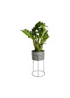 Suporte de Plantas com Vaso Humaitá
