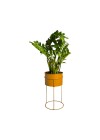 Suporte de Plantas com Vaso Humaitá