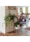suporte-para-plantas-bem-te-vi-branco-ambientado-vista-lateral
