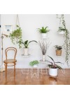 suporte-para-plantas-bem-te-vi-branco-ambientado-visto-de-frente